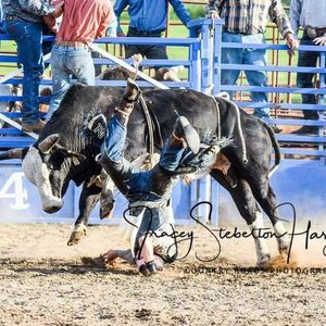 Meet your Posher, Austin